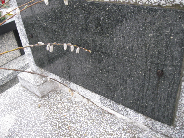 Julia Szczepanik Sosnowiec św. Barbary - Grobonet - Wyszukiwarka osób pochowanych