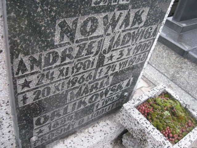 Maria Orlikowska 1884 Sosnowiec św. Barbary - Grobonet - Wyszukiwarka osób pochowanych