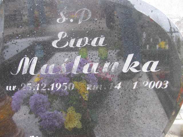 Ewa Maślanka 1950 Sosnowiec św. Barbary - Grobonet - Wyszukiwarka osób pochowanych