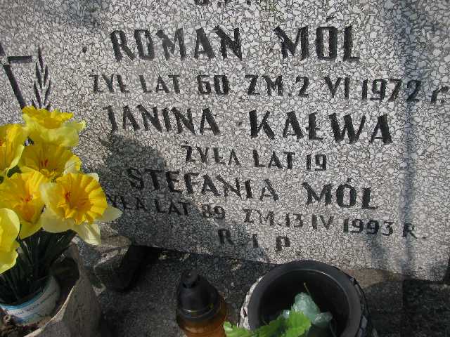  - Grobonet - kup kwiaty