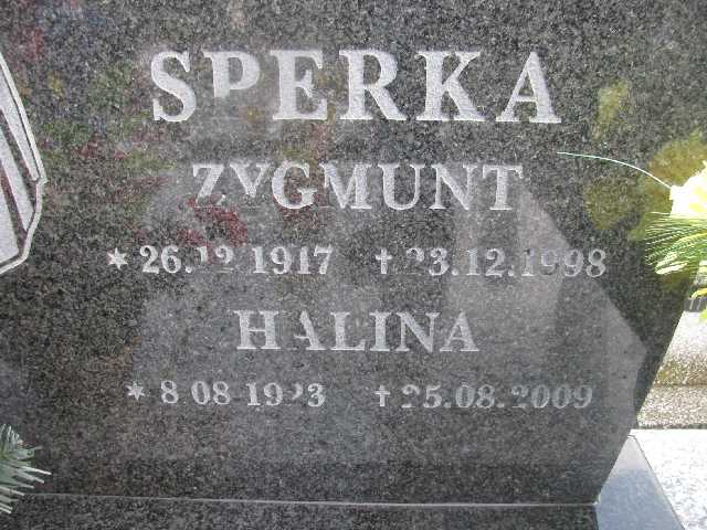 Zygmunt Sperka 1917 Sosnowiec św. Barbary - Grobonet - Wyszukiwarka osób pochowanych