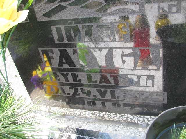 Józef Fatyga Sosnowiec św. Barbary - Grobonet - Wyszukiwarka osób pochowanych