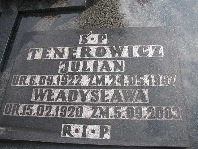 Grób Władysława Tenerowicz