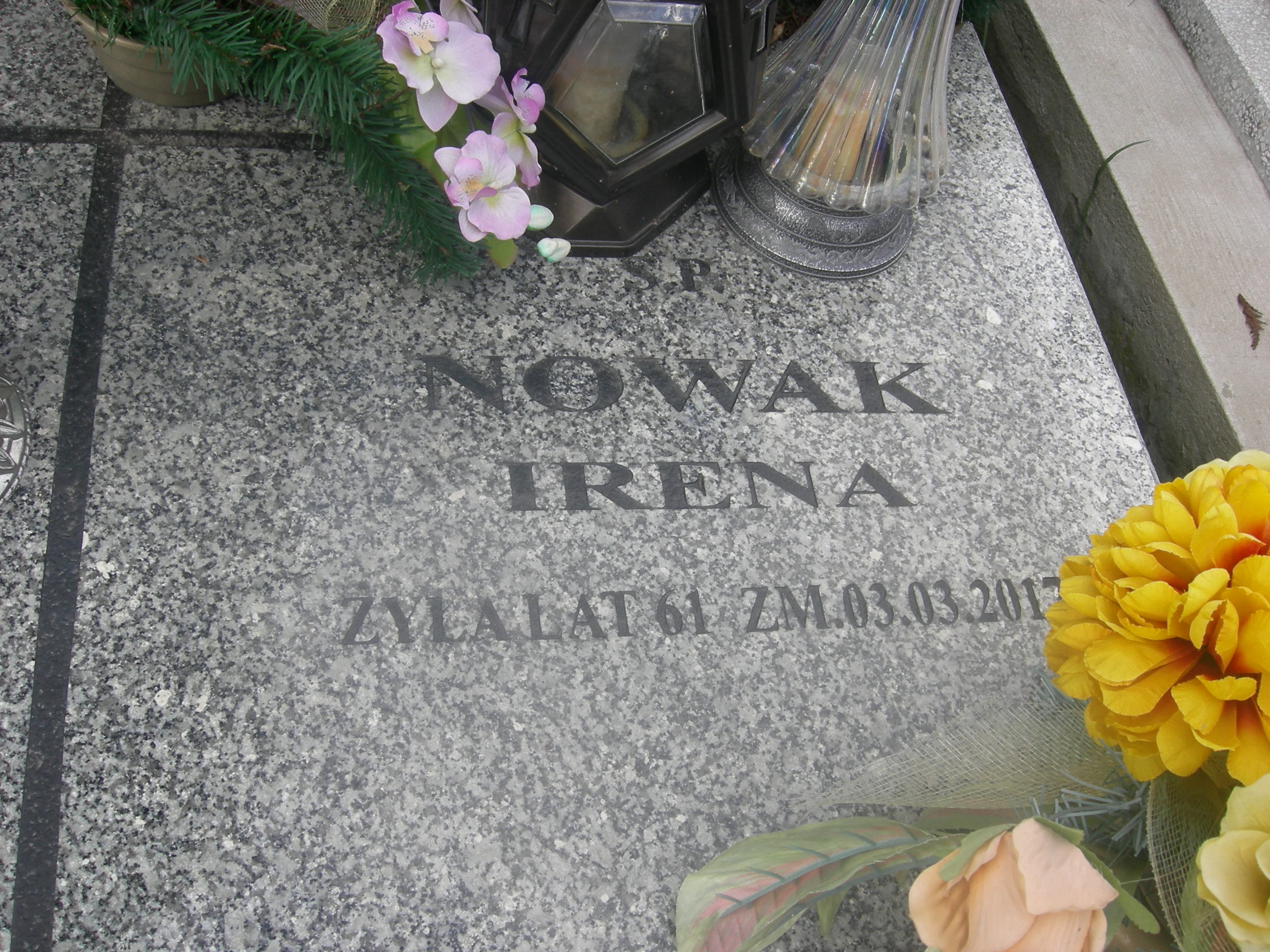 Hermina Dybova Sosnowiec św. Barbary - Grobonet - Wyszukiwarka osób pochowanych