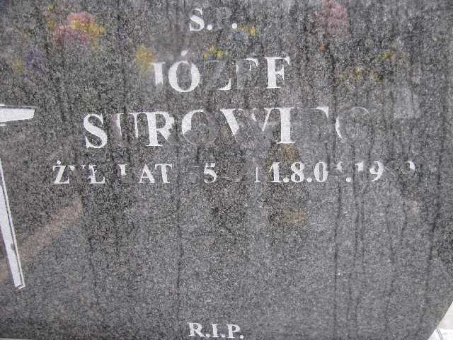 Janusz Surowiec 1961 Sosnowiec św. Barbary - Grobonet - Wyszukiwarka osób pochowanych