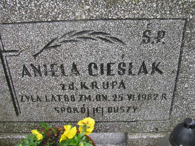 Edyta Stańkowska 1984 Sosnowiec św. Barbary - Grobonet - Wyszukiwarka osób pochowanych