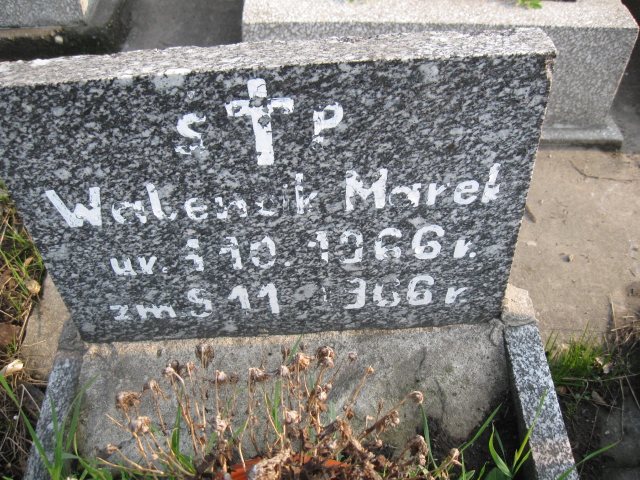 Marek Walencik 1966 Sosnowiec św. Barbary - Grobonet - Wyszukiwarka osób pochowanych