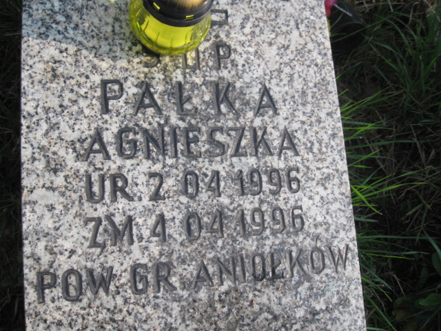 Agnieszka Pałka 1996 Sosnowiec św. Barbary - Grobonet - Wyszukiwarka osób pochowanych