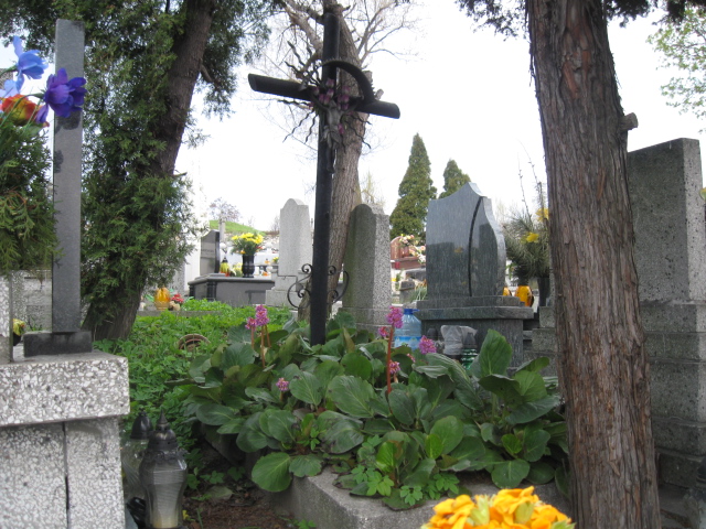  NN Sosnowiec św. Barbary - Grobonet - Wyszukiwarka osób pochowanych