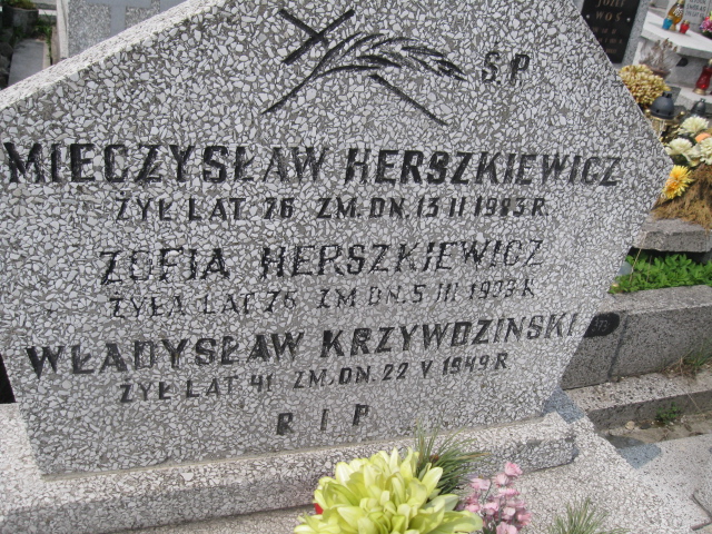 Władysław Krzywdziński Sosnowiec św. Barbary - Grobonet - Wyszukiwarka osób pochowanych