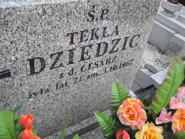 Tekla Dziedzic Sosnowiec św. Barbary - Grobonet - Wyszukiwarka osób pochowanych